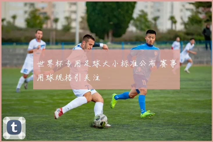 世界杯专用足球大小标准公布 赛事用球规格引关注