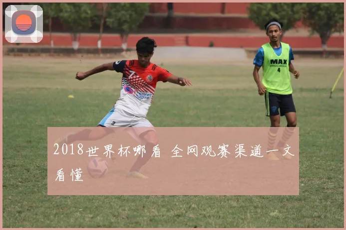 2018世界杯哪看 全网观赛渠道一文看懂
